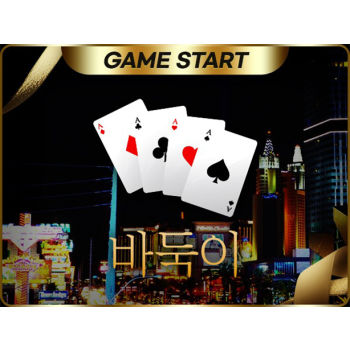바둑이솔루션